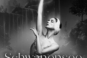 Schwanensee - Grand Classic Ballet - mit Quartett