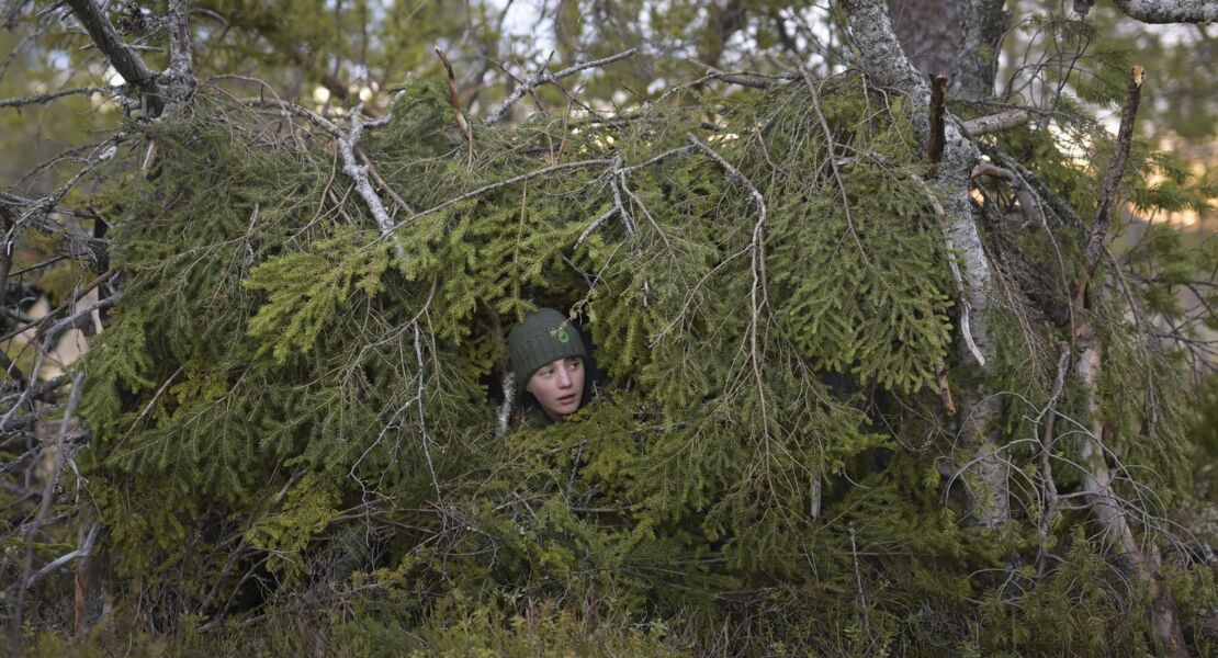 das-flustern-der-walder