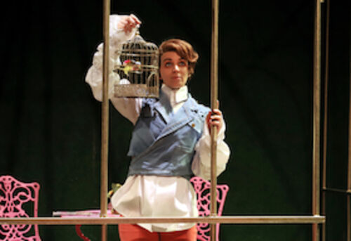 der-barbier-von-sevilla