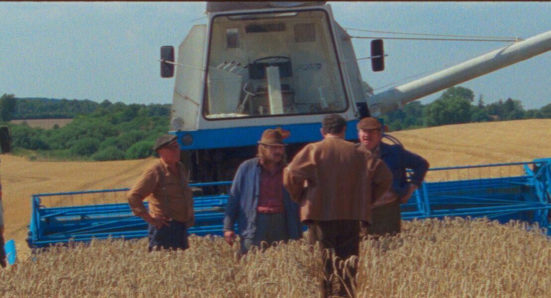 rote-sterne-uberm-feld