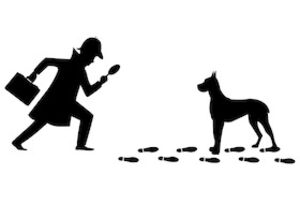 Baskerville - Ein Sherlock-Holmes-Krimi von Ken Ludwig