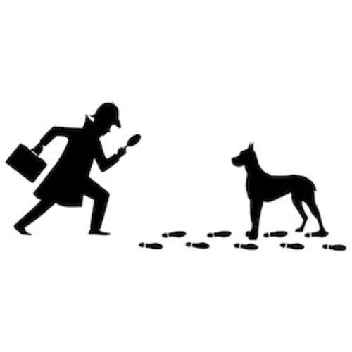 baskerville-ein-sherlock-holmes-krimi-von-ken-ludwig