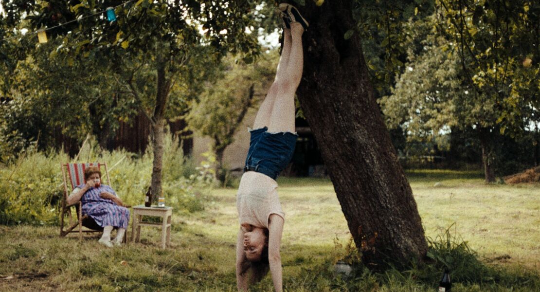 in-die-sonne-schauen