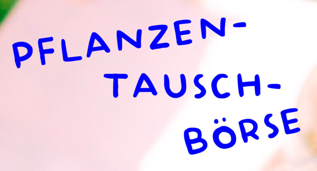 kk-pflanzentauschborse