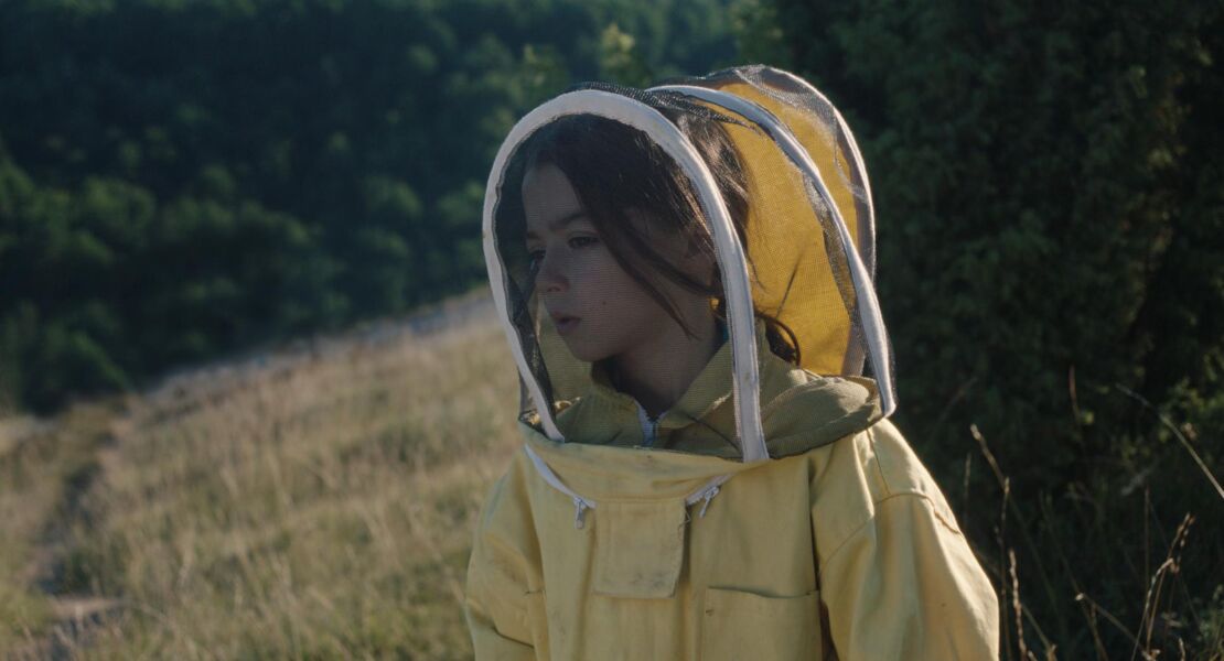 20000-arten-von-bienen