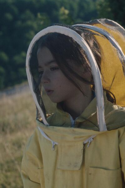 20000-arten-von-bienen