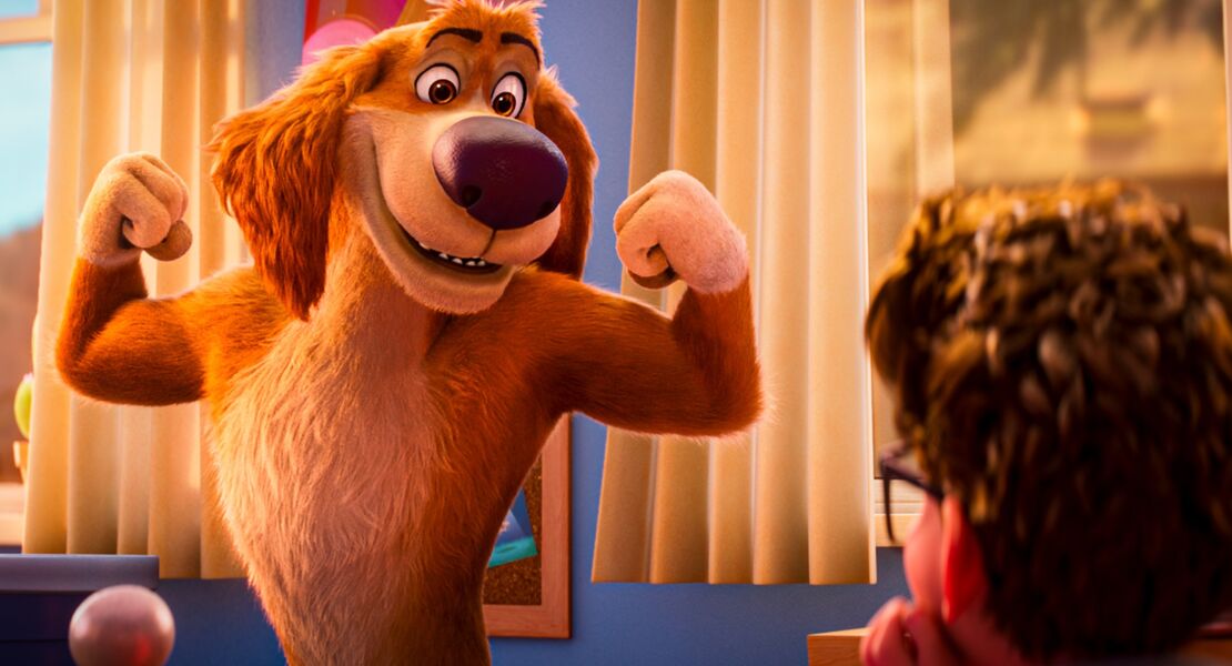 charlie-der-superhund