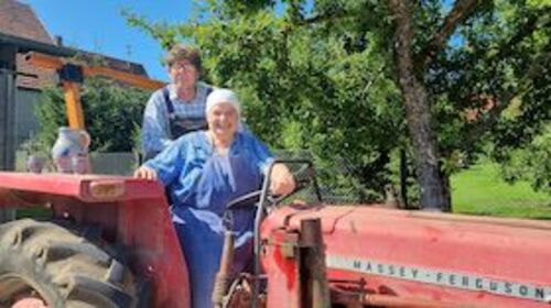 hillus-herzdropfa-achde-albler