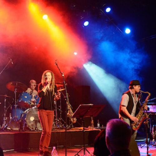 sommerbuhne-am-blautopf-ulmer-kultband-robbi-friends-rock-und-popklassiker