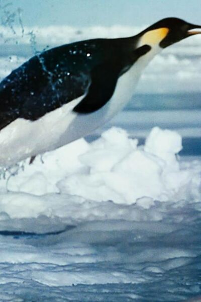 everything-will-change