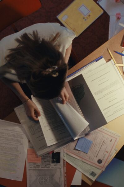 noch-lange-keine-lipizzaner