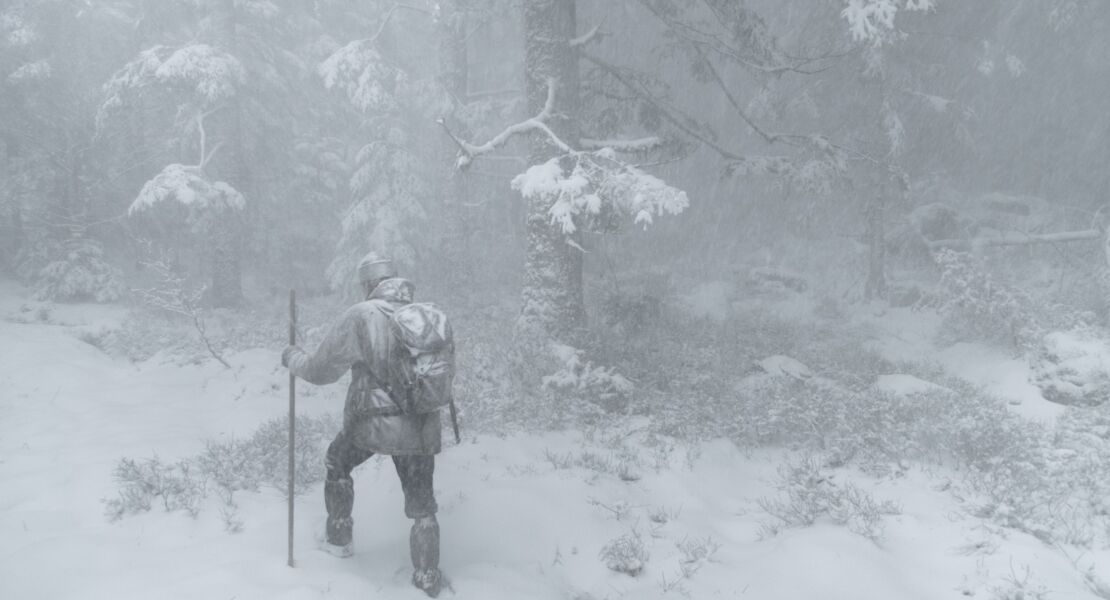 das-flustern-der-walder