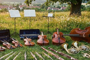 Sommerbühne am Blautopf: Von Wien nach New York - Kammerorchester der Musikschule B-L-S