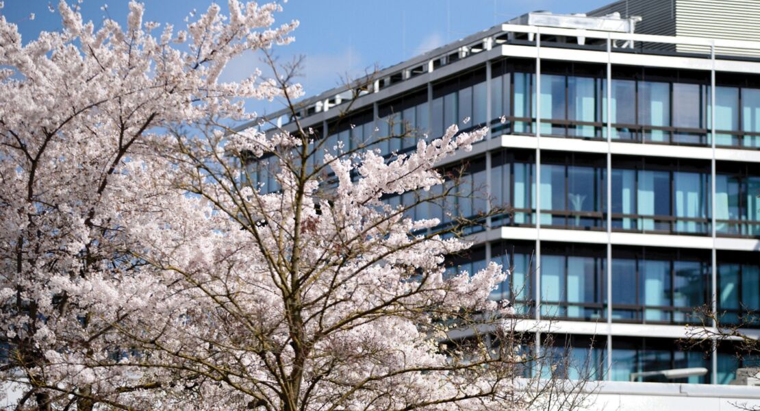 sep-ruf-architekt-der-moderne