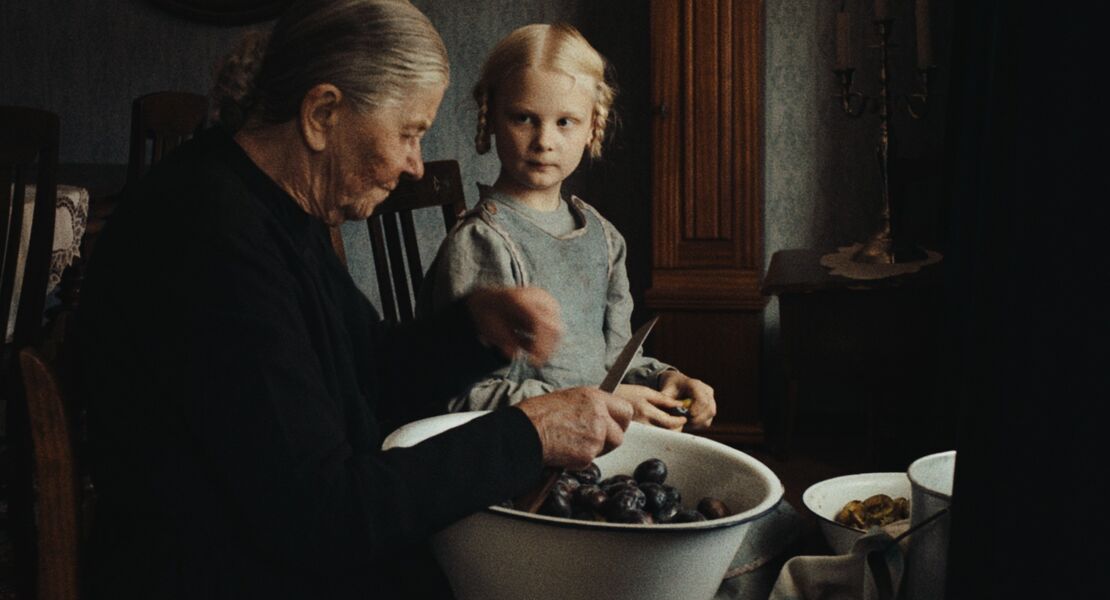 in-die-sonne-schauen