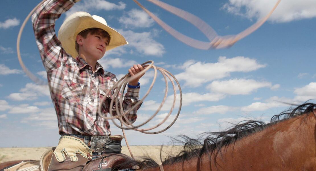 the-cowboy