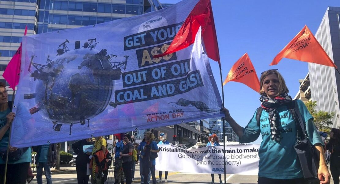 urgewald-auf-den-spuren-des-geldes