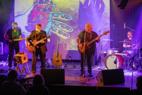 if-you-wanted-to-singer-songwriter-indie-folkrock