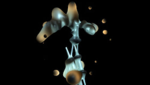 saalfrei-2026-sonosphere