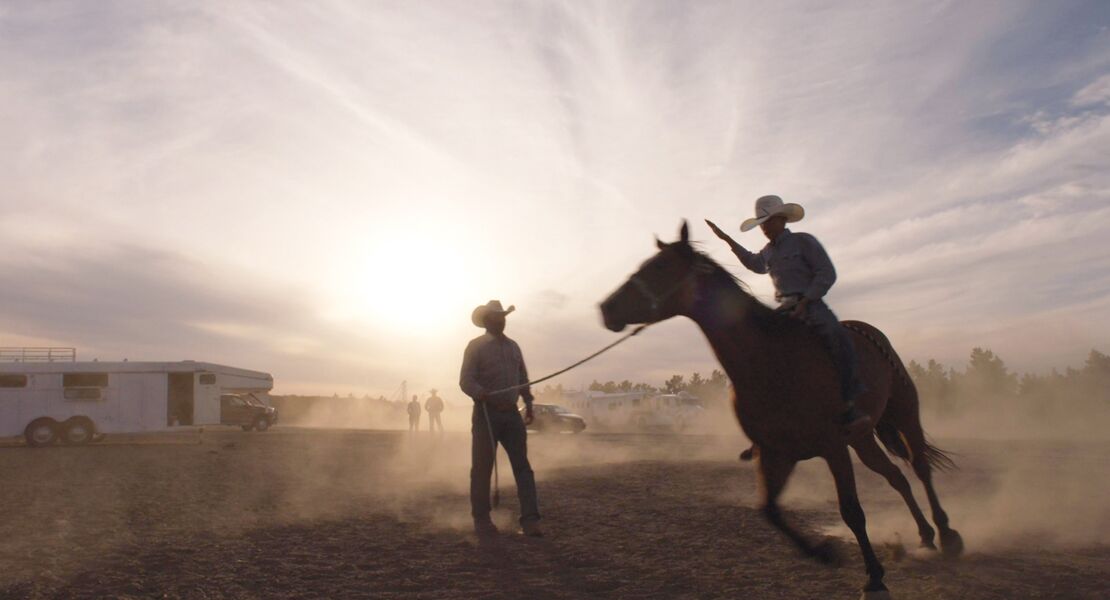 the-cowboy