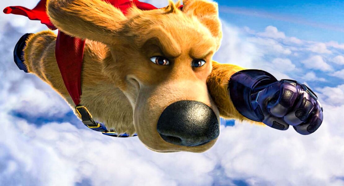 charlie-der-superhund