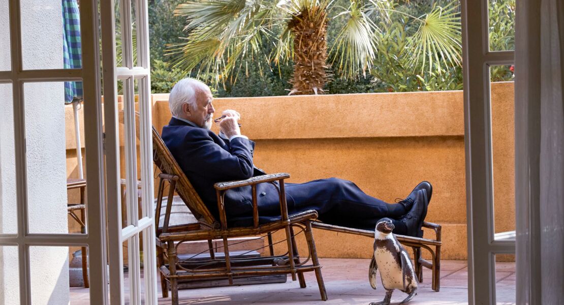 der-pinguin-meines-lebens