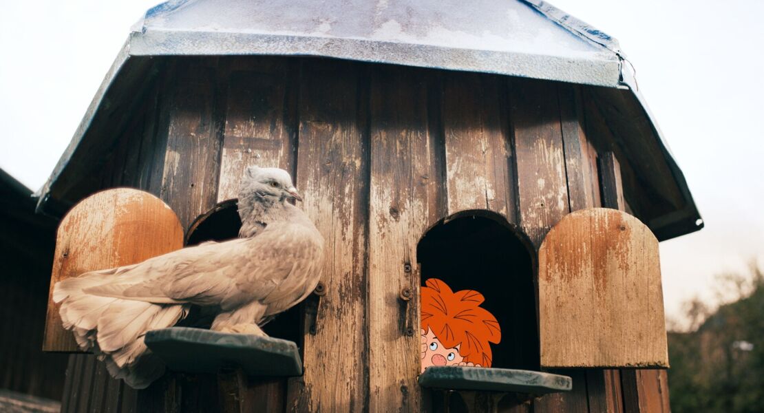 pumuckl-und-das-grosse-missverstandnis