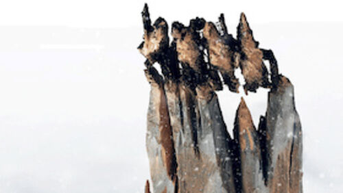 tous-sur-la-banquise