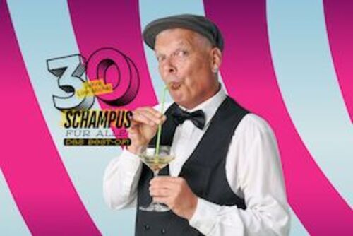 schampus-fur-alle-30-jahre-link-michel-das-beste-of-schwaben-comedy