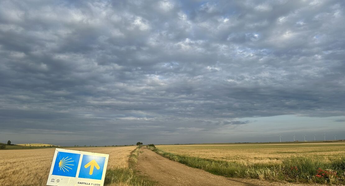 mein-weg-780-km-zu-mir